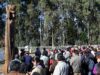 CONADI protege cementerios y sitios ceremoniales mapuche en Villarrica