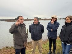 Todos los agricultores de La Araucanía deben informar a la brevedad cuáles fueron los daños causados por los temporales