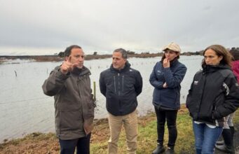 Todos los agricultores de La Araucanía deben informar a la brevedad cuáles fueron los daños causados por los temporales