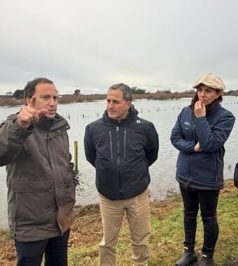 Todos los agricultores de La Araucanía deben informar a la brevedad cuáles fueron los daños causados por los temporales