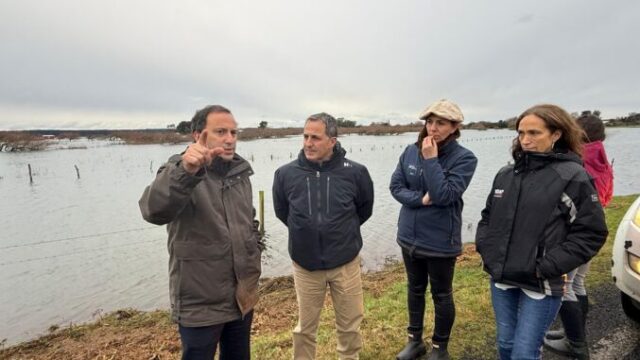 Todos los agricultores de La Araucanía deben informar a la brevedad cuáles fueron los daños causados por los temporales