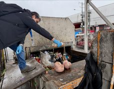 ¡Ojo con la carne para el 18! Decomisan más de 300 kilos en fiscalización en Feria Pinto de Temuco previo a Fiestas Patrias