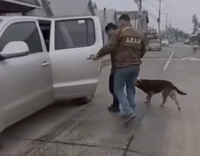 “El Extorsivo”: detienen en Pitrufquén a joven acusado de robar un vehículo y exigir dinero para devolverlo