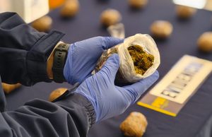 PDI Angol incauta dos kilos de cocaína destinados a abastecer a microtraficantes de Malleco