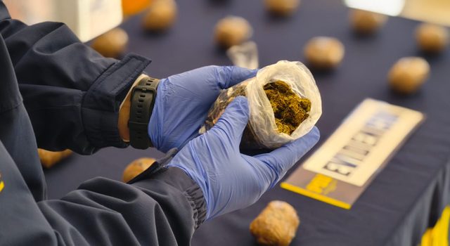 PDI Angol incauta dos kilos de cocaína destinados a abastecer a microtraficantes de Malleco