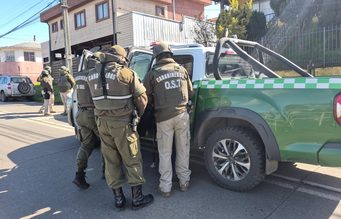 Desbaratan banda dedicada al tráfico de drogas tras operativo simultáneo en tres inmuebles de Carahue