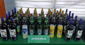 Freire: decomisan bebidas alcohólicas tras detectar presunta venta clandestina en sector Hacienda Allipén