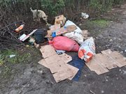 Cuando la belleza termina entre bolsas y desperdicios: vecinos alertan por microbasural en las riberas del río Toltén en Freire