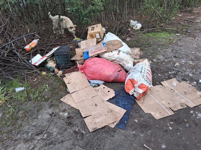 Cuando la belleza termina entre bolsas y desperdicios: vecinos alertan por microbasural en las riberas del río Toltén en Freire