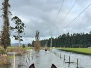 Municipalidad de Pitrufquén llama a la prevención ante intensas precipitaciones y posible aumento de caudales