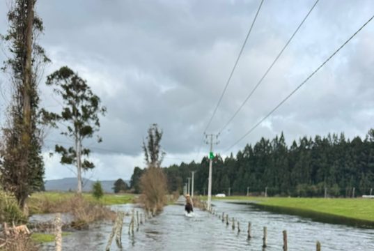 Municipalidad de Pitrufquén llama a la prevención ante intensas precipitaciones y posible aumento de caudales