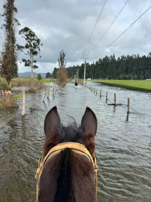 Municipalidad de Pitrufquén llama a la prevención ante intensas precipitaciones y posible aumento de caudales
