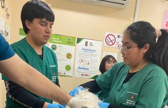 Freire refuerza la prevención de la rabia con operativo de vacunación para mascotas