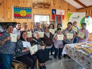 Mujeres emprendedoras de Freire culminan curso básico de witral