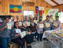 Mujeres emprendedoras de Freire culminan curso básico de witral