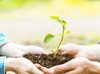 Universidad Católica de Temuco ofrece curso gratuito para aprender sobre sustentabilidad y cambio climático