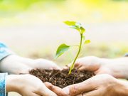 Universidad Católica de Temuco ofrece curso gratuito para aprender sobre sustentabilidad y cambio climático