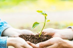 Universidad Católica de Temuco ofrece curso gratuito para aprender sobre sustentabilidad y cambio climático