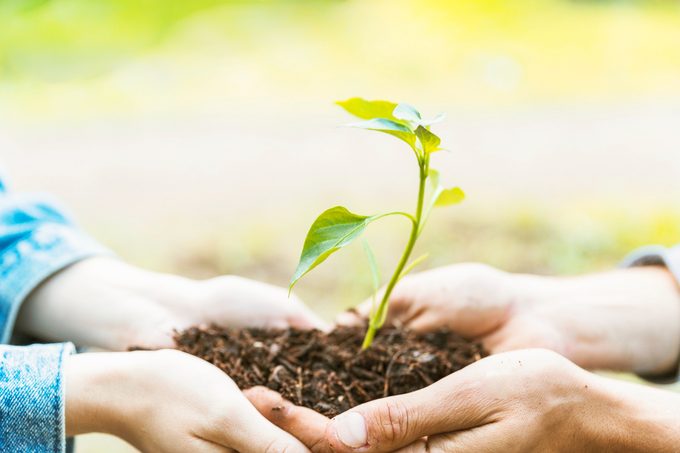 Universidad Católica de Temuco ofrece curso gratuito para aprender sobre sustentabilidad y cambio climático