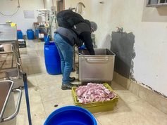 Sin agua potable y con productos vencidos: fiscalización sanitaria termina con kilos de carne decomisada en Gorbea y Pitrufquén