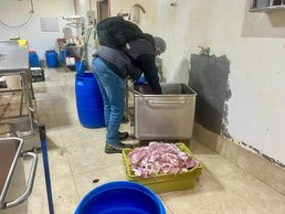 Sin agua potable y con productos vencidos: fiscalización sanitaria termina con kilos de carne decomisada en Gorbea y Pitrufquén