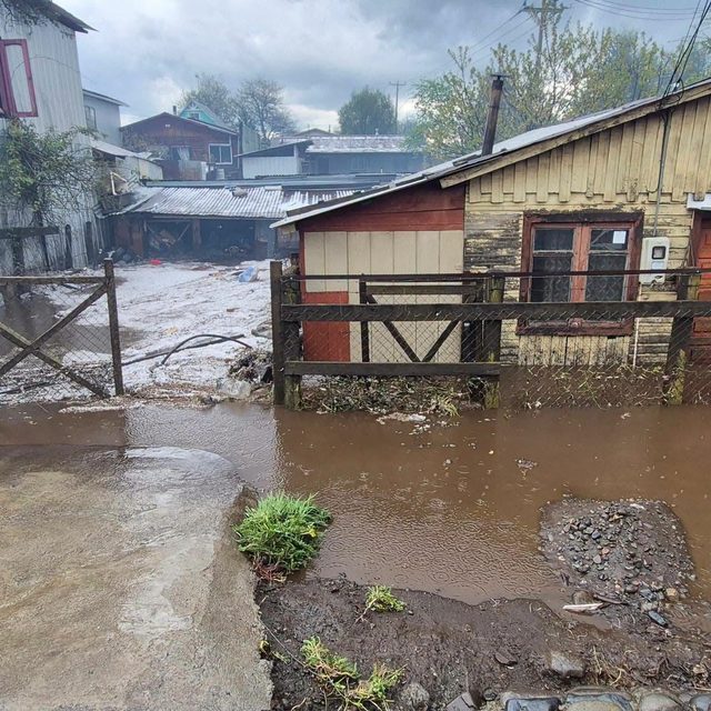 Intensas lluvias y granizos provocan inundaciones en Curacautín: viviendas quedaron bajo el agua y una vecina perdió animales