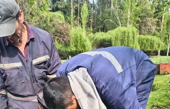 PRODER refuerza la atención sanitaria del ganado en sectores rurales de Freire