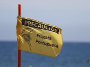 Confirman presencia de fragata portuguesa en Puerto Saavedra y activan medidas preventivas en playa Maule