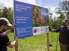 Fundación Donguil de Gorbea apuesta por la educación ambiental con proyecto que dará vida al parque ecológico La Aguada