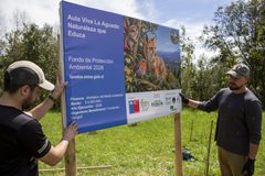 Fundación Donguil de Gorbea apuesta por la educación ambiental con proyecto que dará vida al parque ecológico La Aguada
