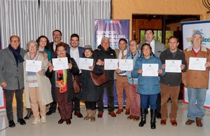 23 organizaciones de personas mayores de Villarrica reciben recursos del Fondo Nacional del Adulto Mayor 2026