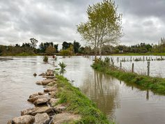 Teodoro Schmidt impulsa ocho proyectos por cerca de $1.000 millones para recuperar caminos y servicios afectados por las inundaciones