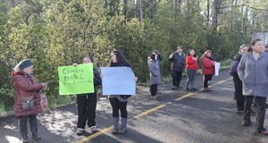 Ruta en malas condiciones genera movilización de vecinos en Villarrica: reclaman mantención y mejoras urgentes en sector Afunalhue Quetroco