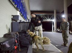 Con perros detectores de drogas y controles policiales refuerzan la seguridad en el Aeropuerto de La Araucanía