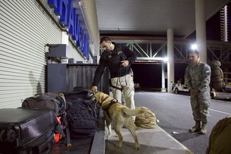 Con perros detectores de drogas y controles policiales refuerzan la seguridad en el Aeropuerto de La Araucanía