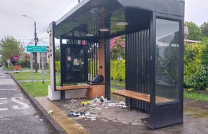 Denuncian acumulación de basura en paradero de buses de Pitrufquén: llaman a cuidar los espacios públicos