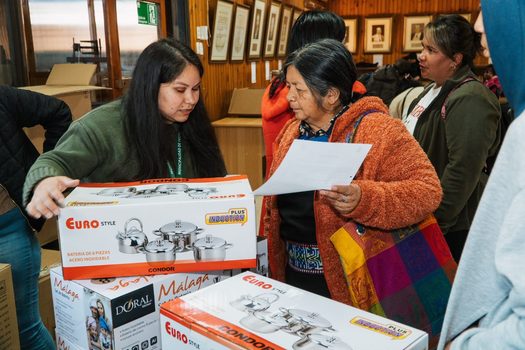 Programa Familias fortalece la seguridad alimentaria con entrega de implementos y talleres de autoconsumo