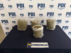 Operación San Mateo: PDI detuvo a proveedor de drogas que abastecía a Angol y Collipulli con casi 2 kilos de cannabis