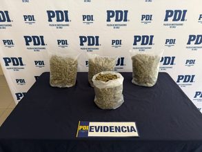 Operación San Mateo: PDI detuvo a proveedor de drogas que abastecía a Angol y Collipulli con casi 2 kilos de cannabis