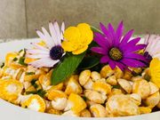 Freire: Coipue vivirá este sábado su fiesta del digueñe con concurso gastronómico y muestra de productos locales