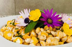 Freire: Coipue vivirá este sábado su fiesta del digueñe con concurso gastronómico y muestra de productos locales